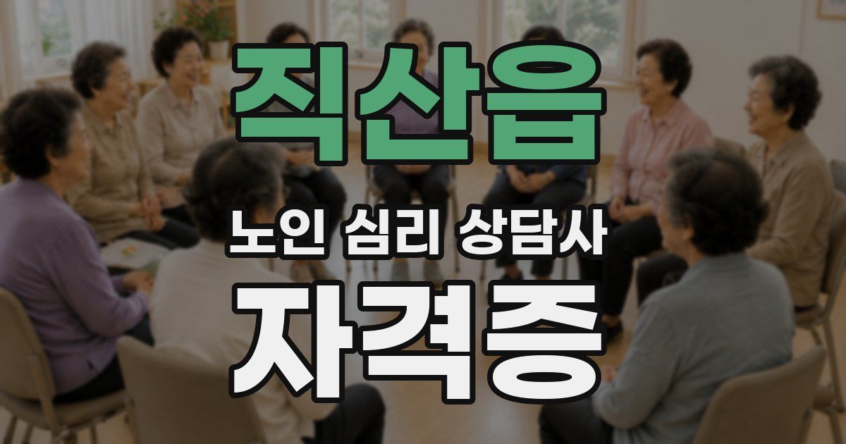 직산읍 노인 심리 상담사 자격증