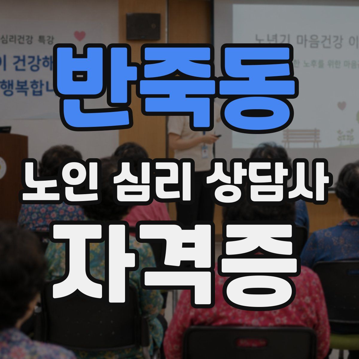 반죽동 노인 심리 상담사 자격증