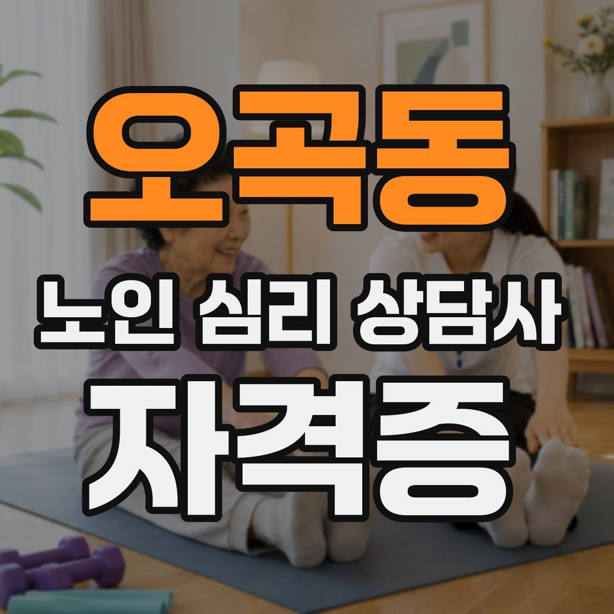 오곡동 노인 심리 상담사 자격증