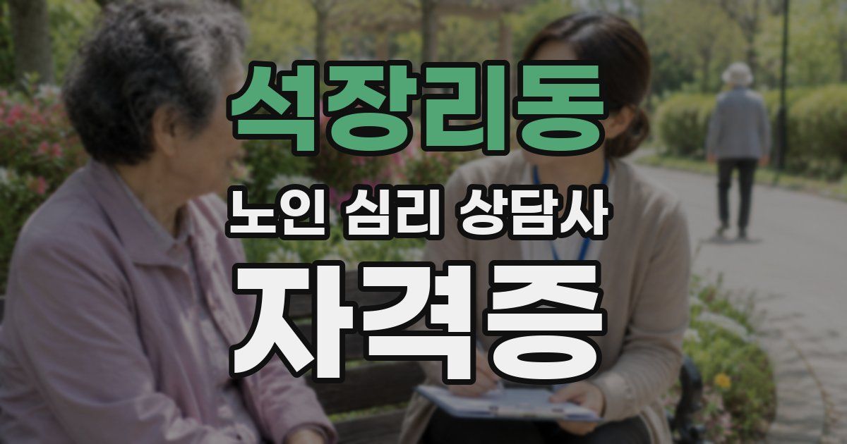 석장리동 노인 심리 상담사 자격증