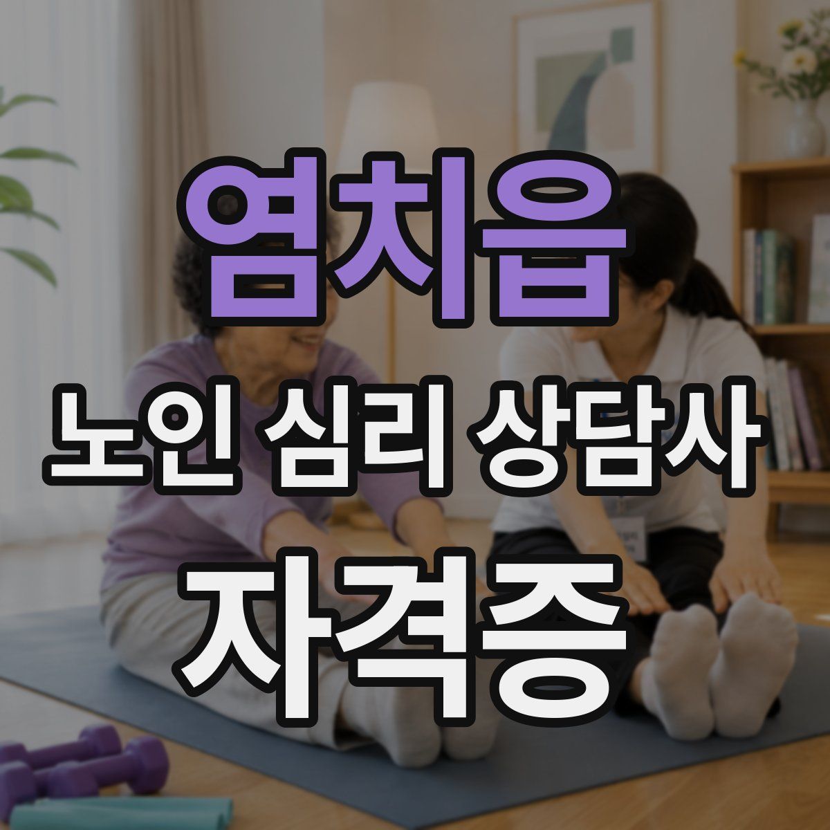 염치읍 노인 심리 상담사 자격증