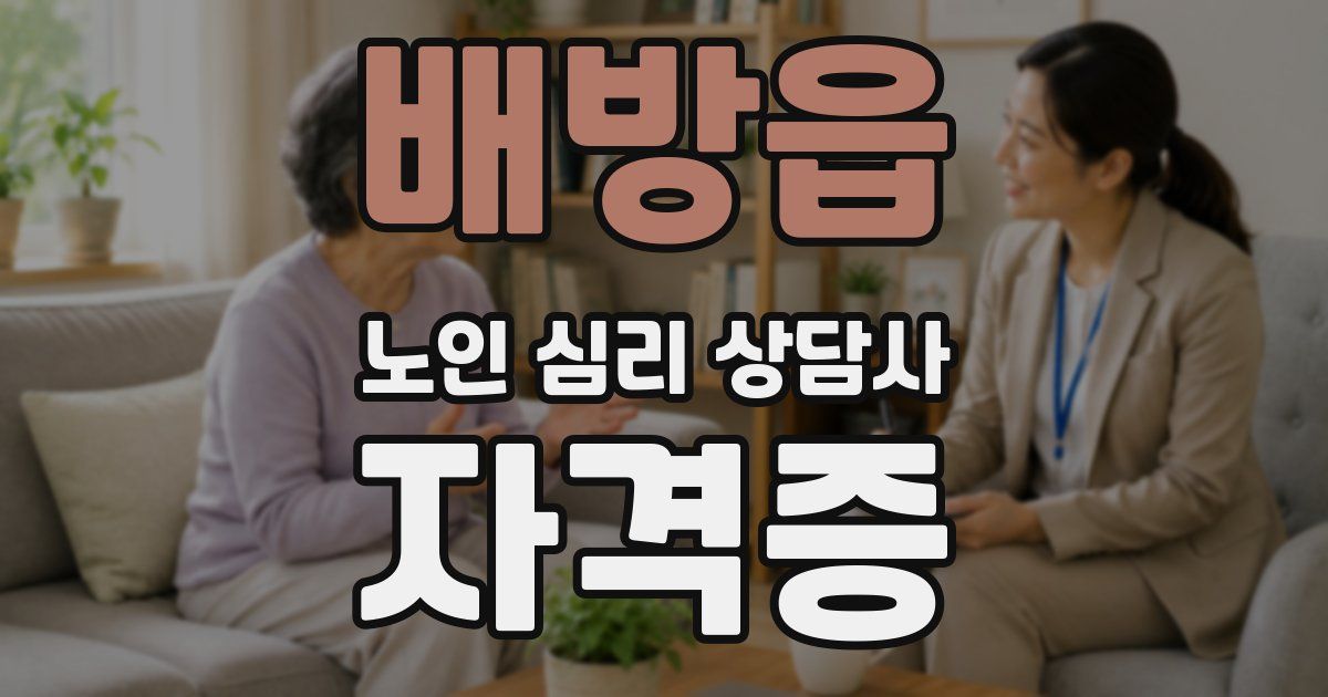 배방읍 노인 심리 상담사 자격증