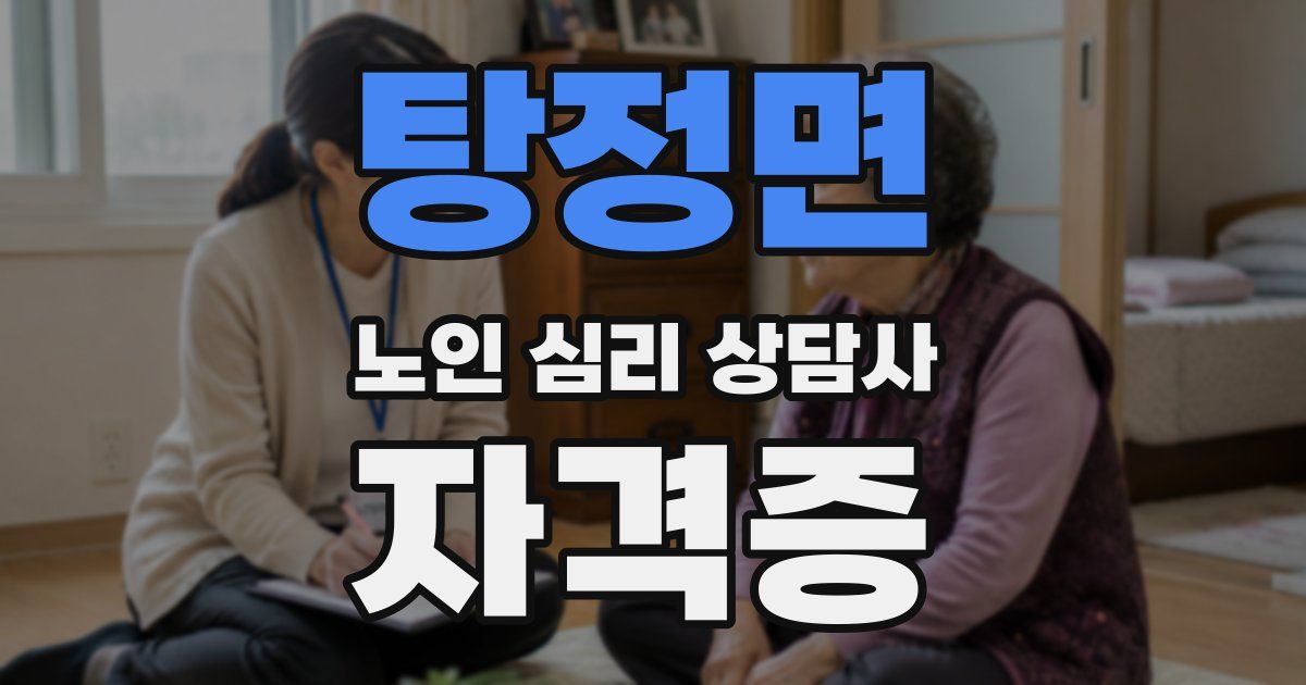 탕정면 노인 심리 상담사 자격증