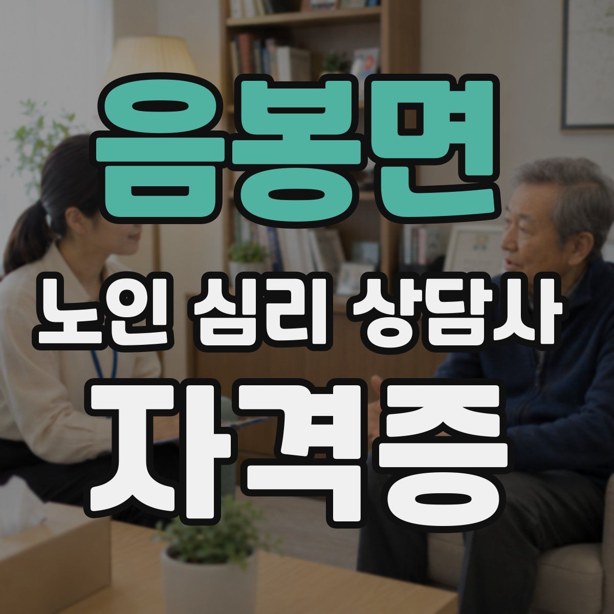 음봉면 노인 심리 상담사 자격증