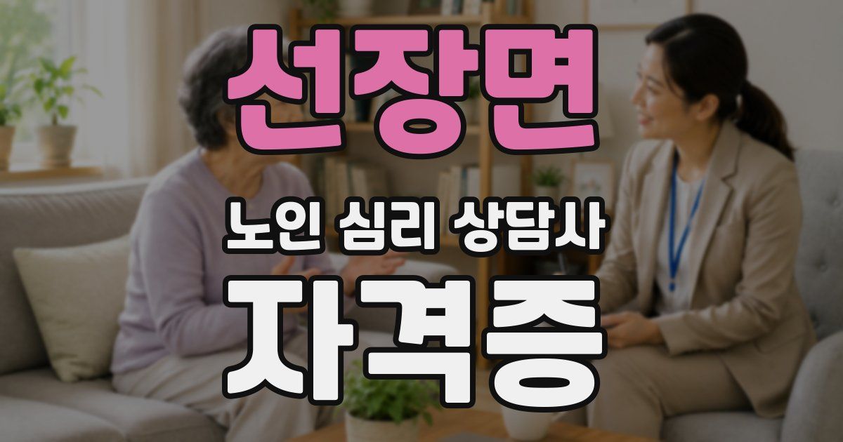 선장면 노인 심리 상담사 자격증