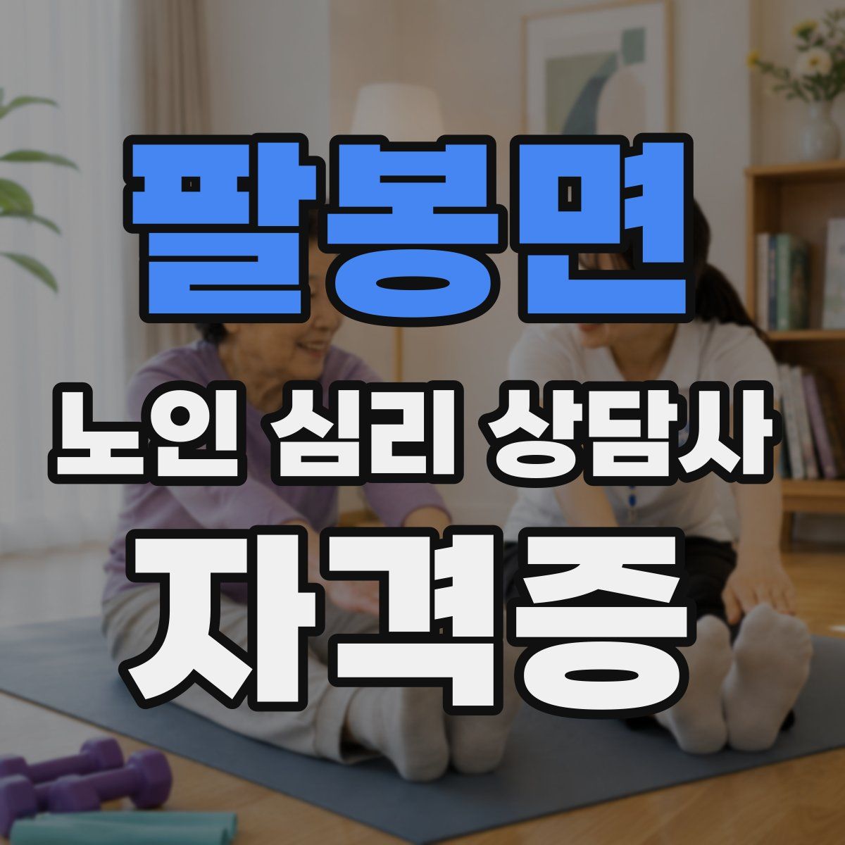 팔봉면 노인 심리 상담사 자격증