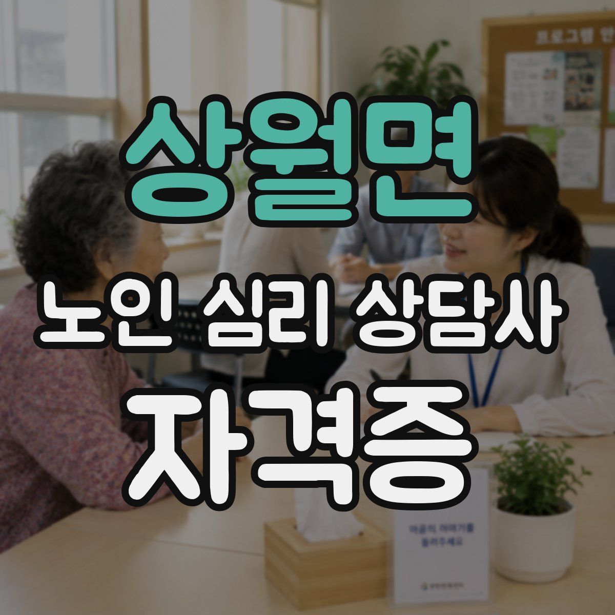 상월면 노인 심리 상담사 자격증