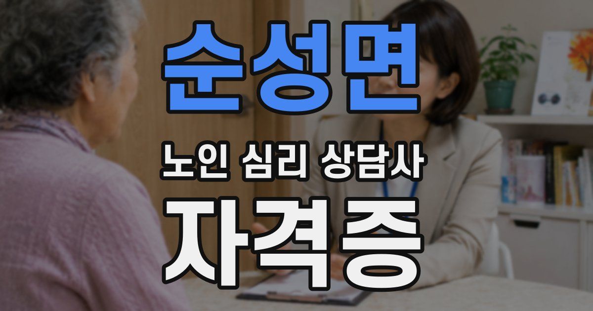 순성면 노인 심리 상담사 자격증