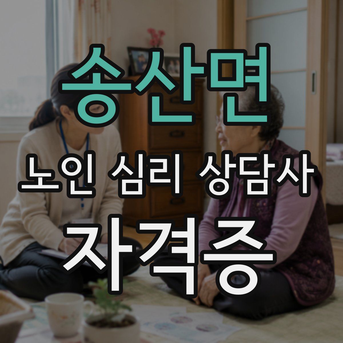 송산면 노인 심리 상담사 자격증