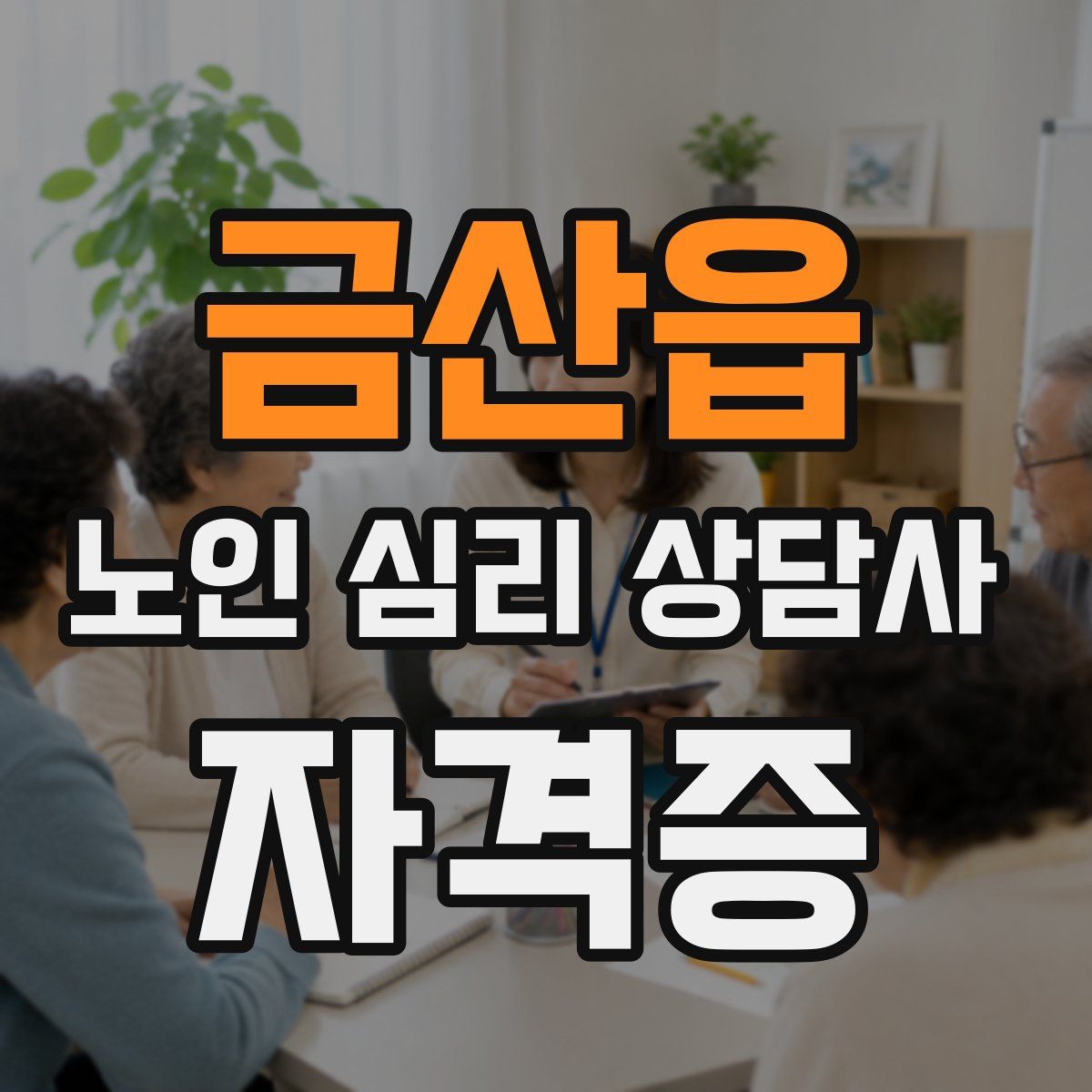 금산읍 노인 심리 상담사 자격증