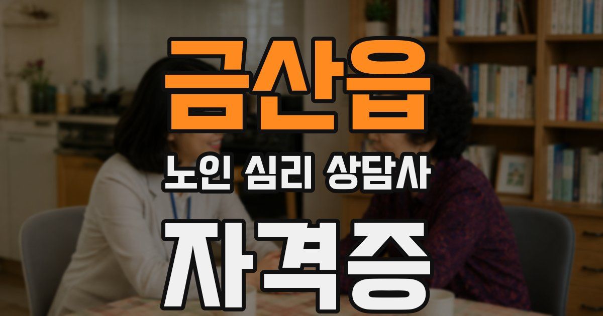 금산읍 노인 심리 상담사 자격증