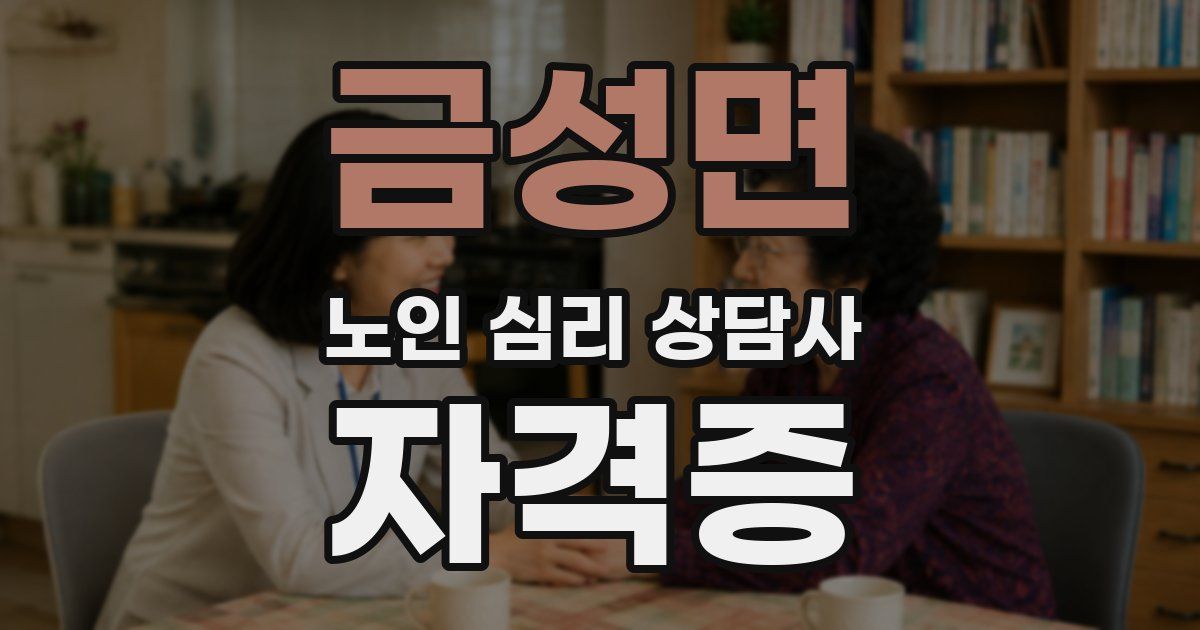 금성면 노인 심리 상담사 자격증