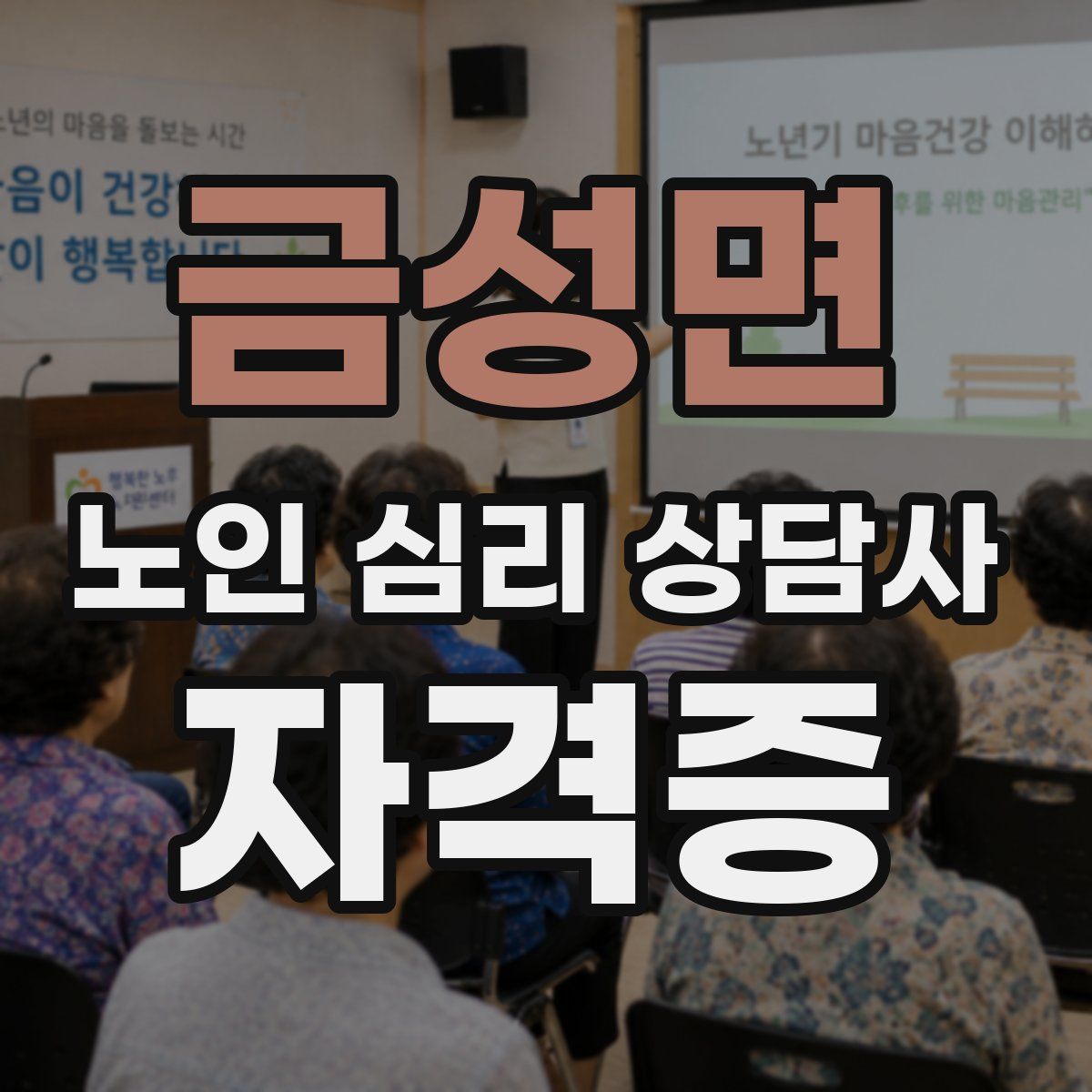 금성면 노인 심리 상담사 자격증