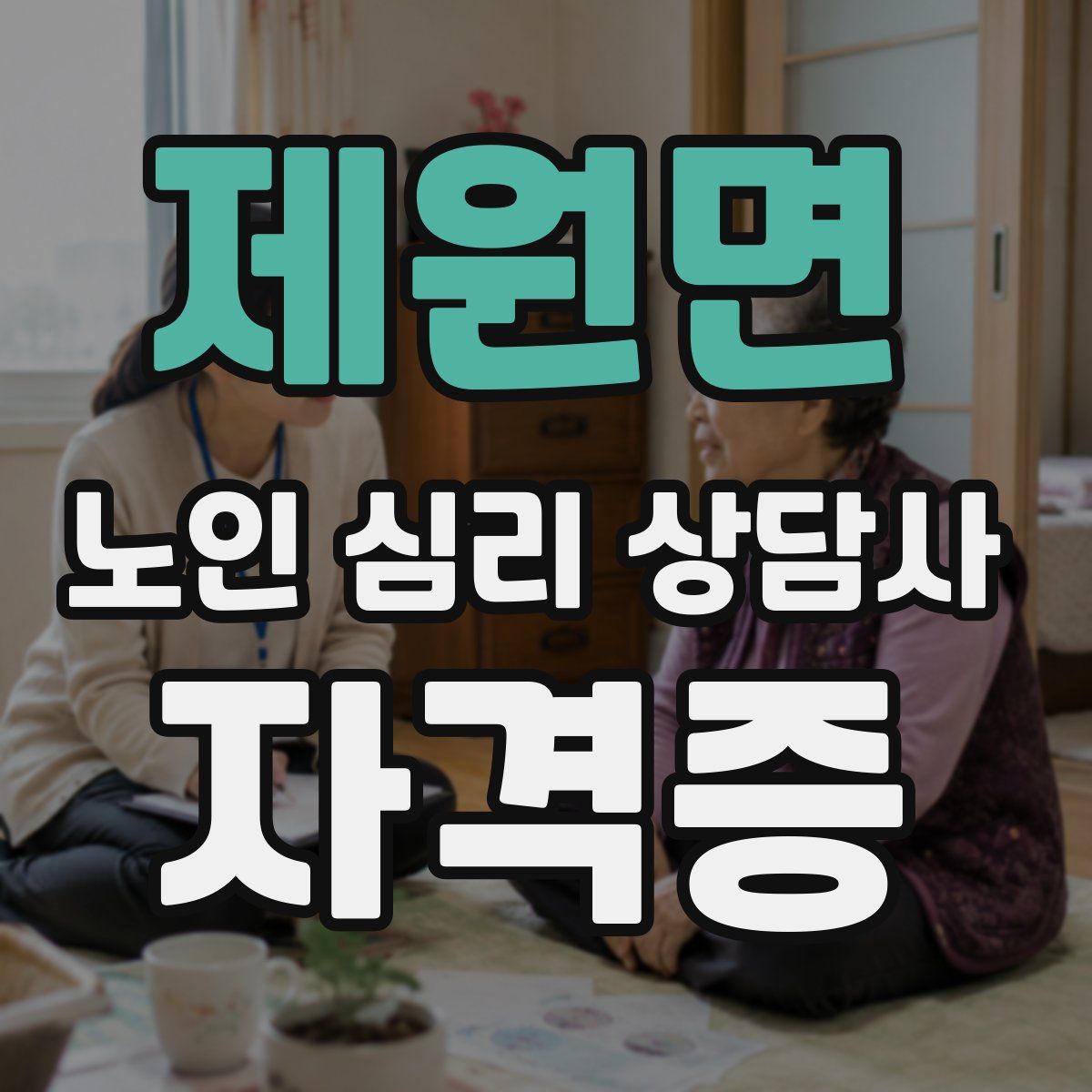 제원면 노인 심리 상담사 자격증