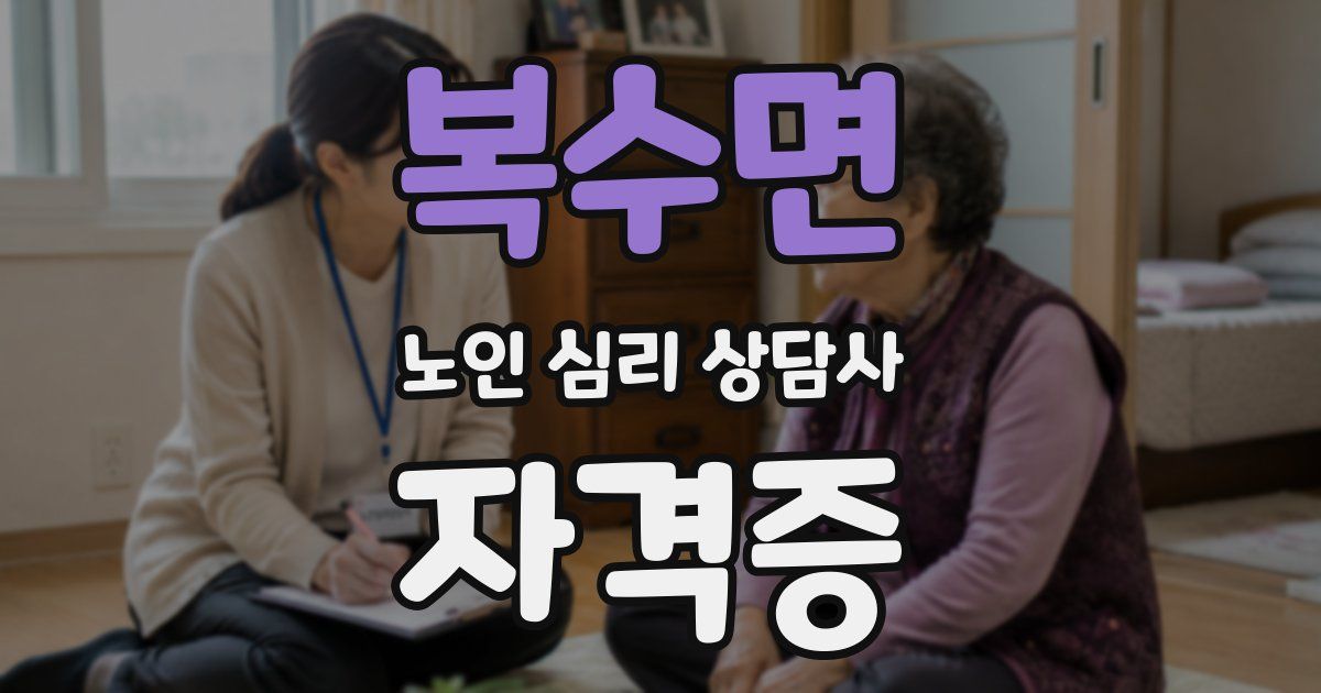 복수면 노인 심리 상담사 자격증