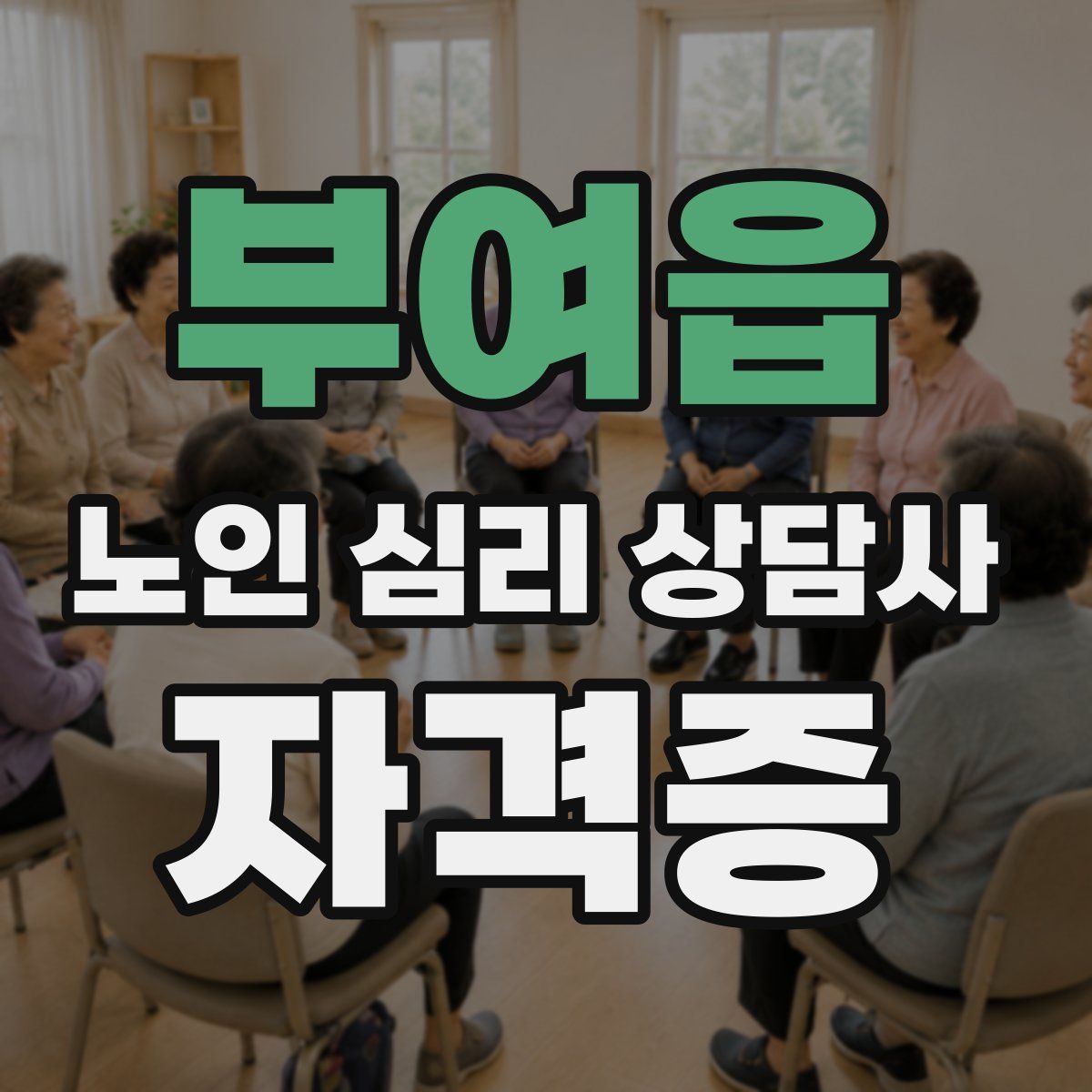 부여읍 노인 심리 상담사 자격증
