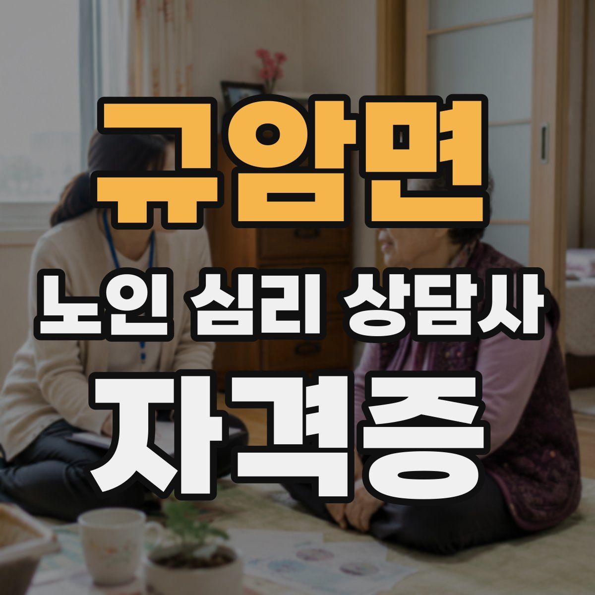 규암면 노인 심리 상담사 자격증