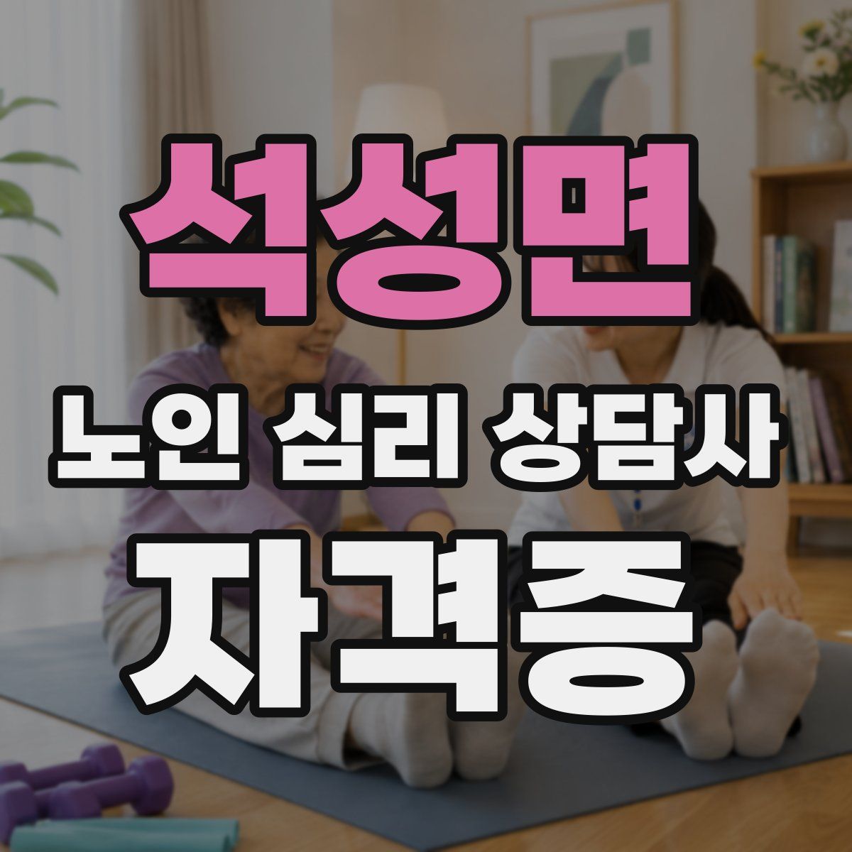 석성면 노인 심리 상담사 자격증