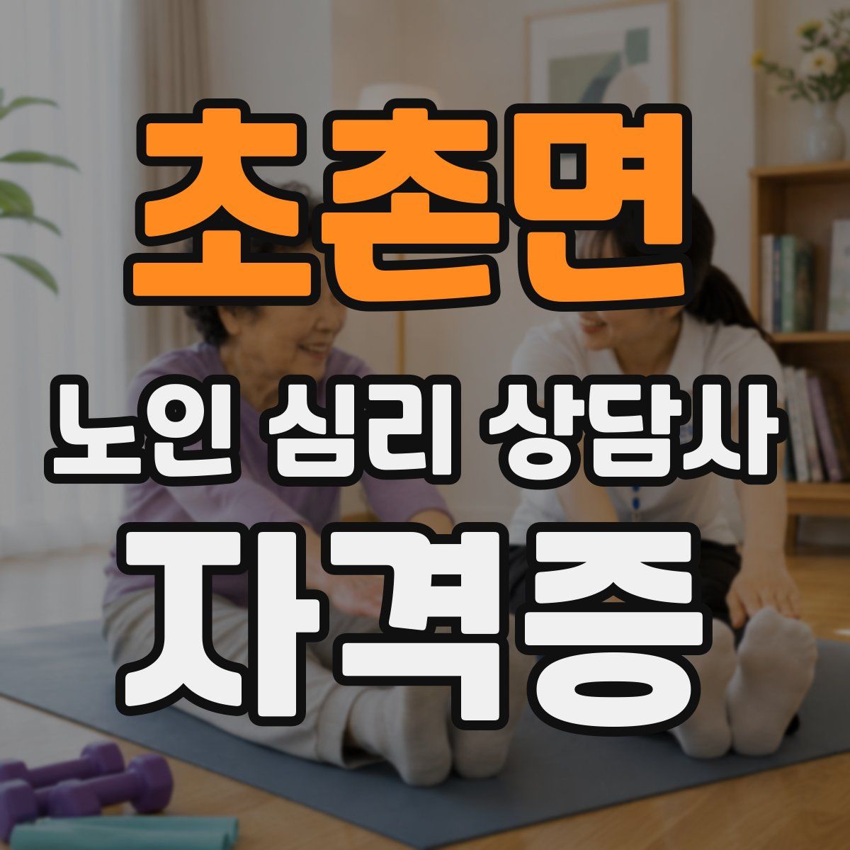 초촌면 노인 심리 상담사 자격증