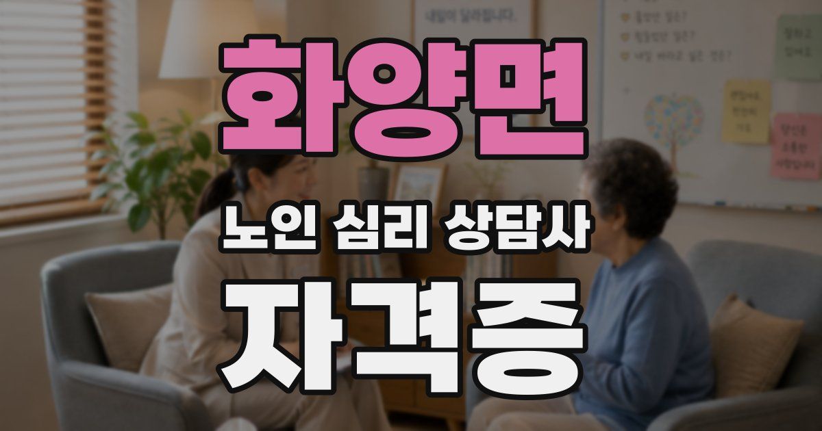 화양면 노인 심리 상담사 자격증