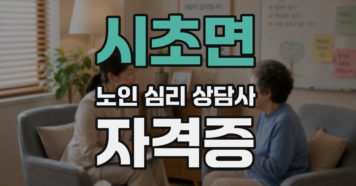 시초면 노인 심리 상담사 자격증