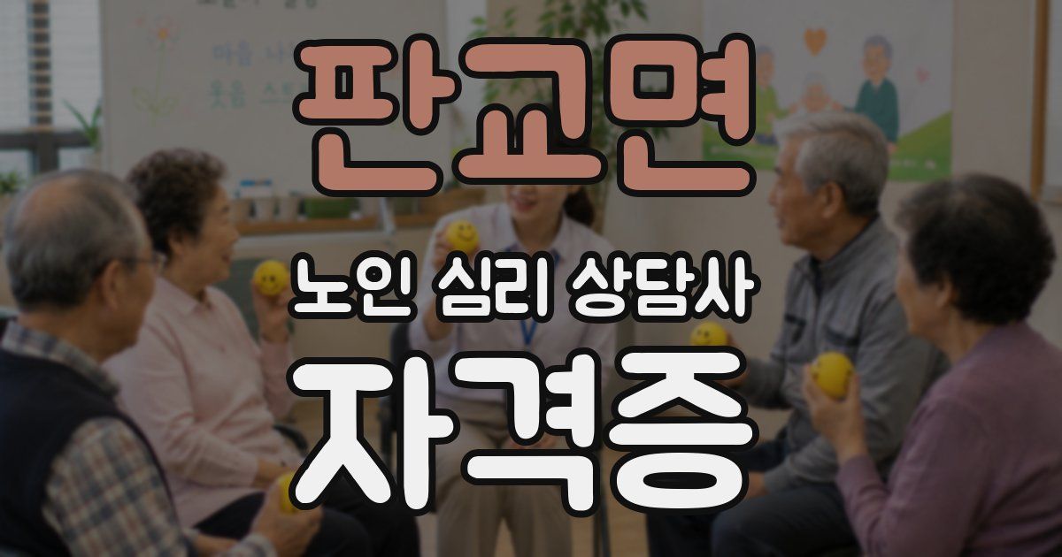 판교면 노인 심리 상담사 자격증