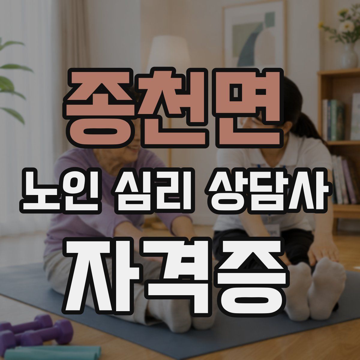 종천면 노인 심리 상담사 자격증