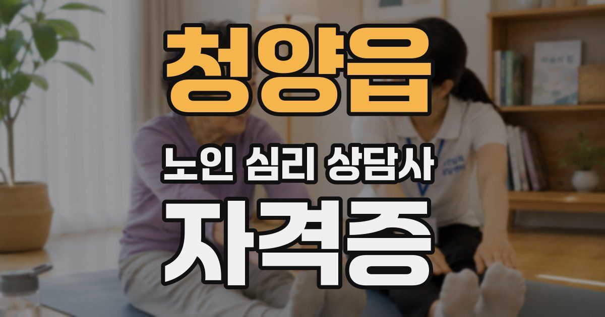 청양읍 노인 심리 상담사 자격증