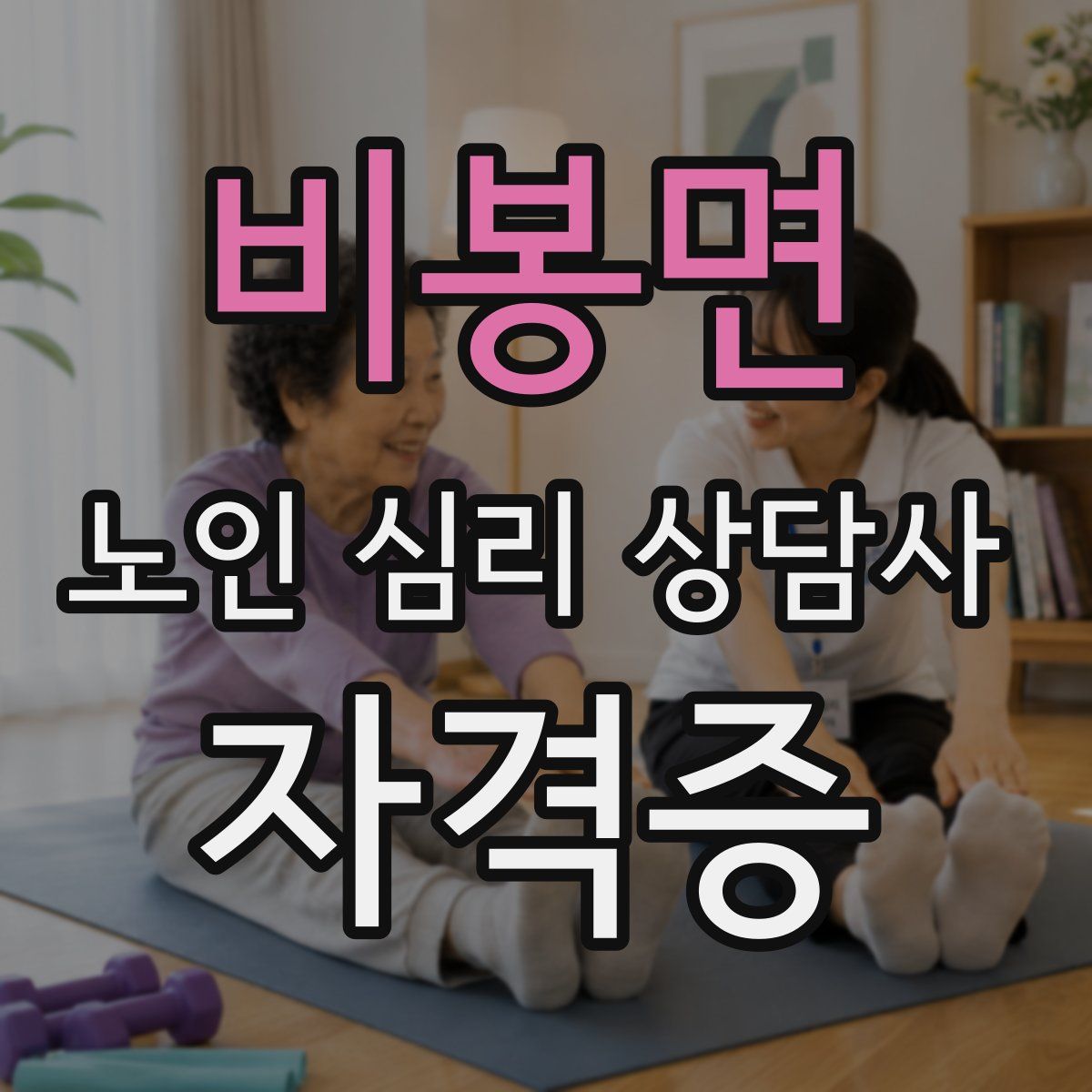 비봉면 노인 심리 상담사 자격증