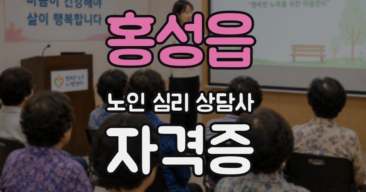 홍성읍 노인 심리 상담사 자격증
