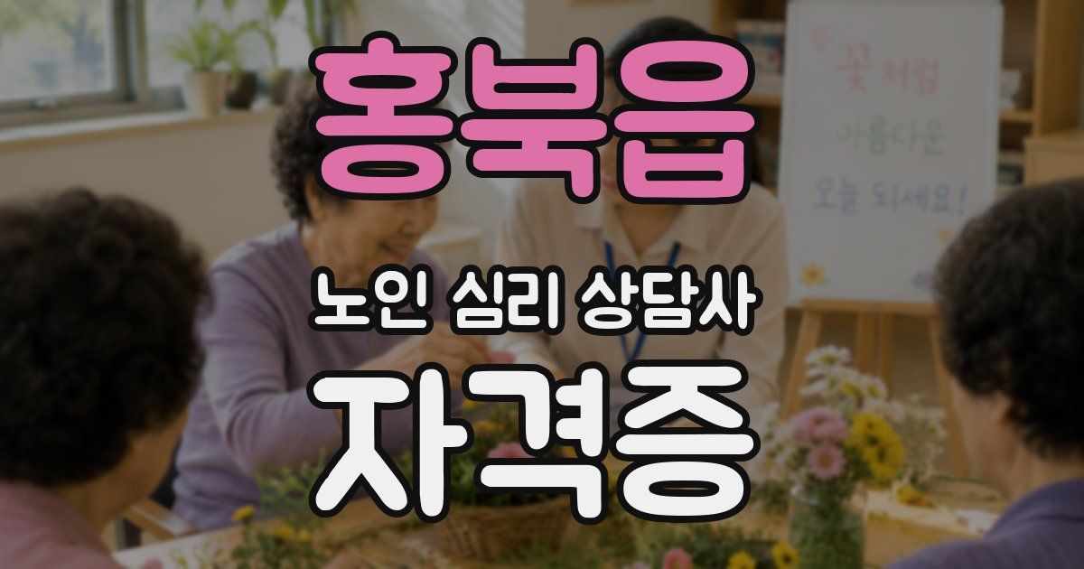 홍북읍 노인 심리 상담사 자격증
