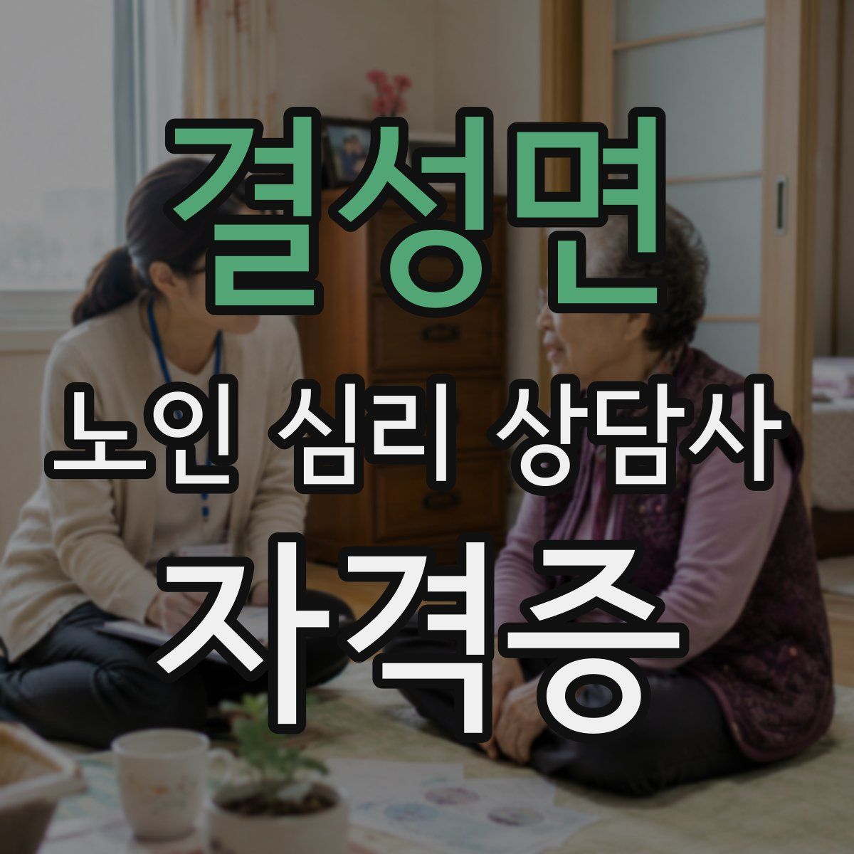 결성면 노인 심리 상담사 자격증