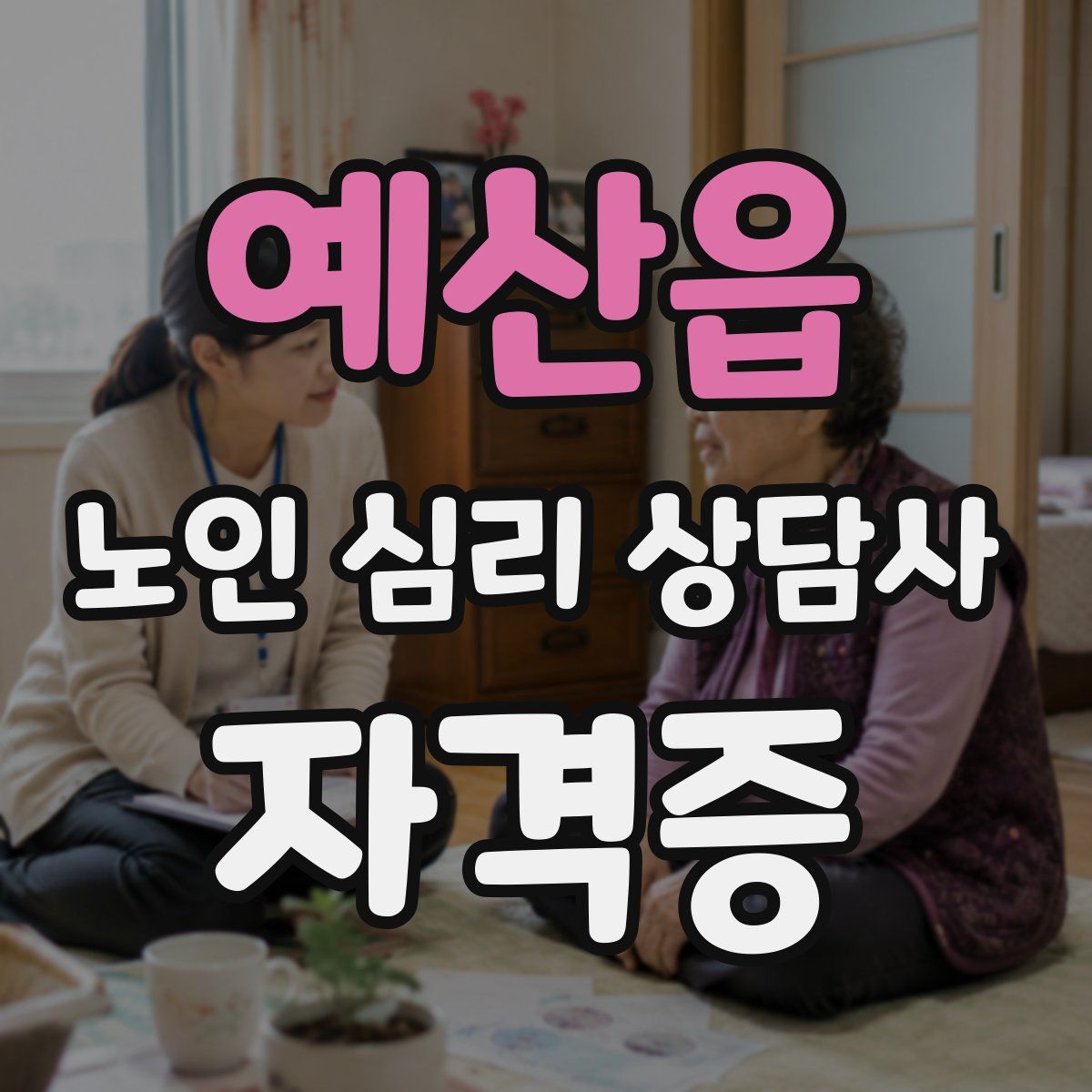 예산읍 노인 심리 상담사 자격증