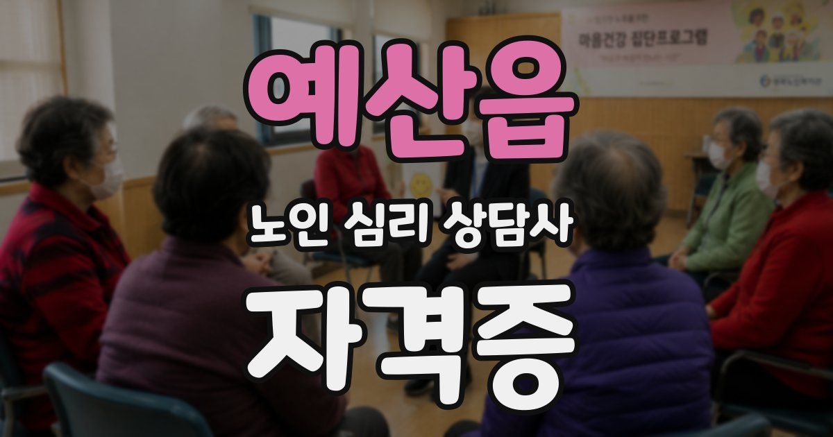 예산읍 노인 심리 상담사 자격증