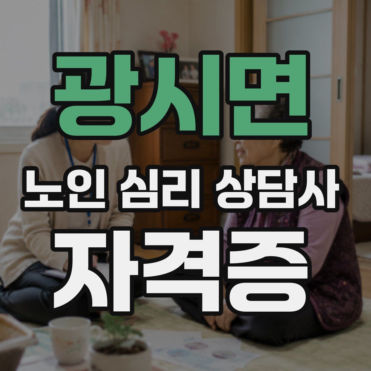 광시면 노인 심리 상담사 자격증
