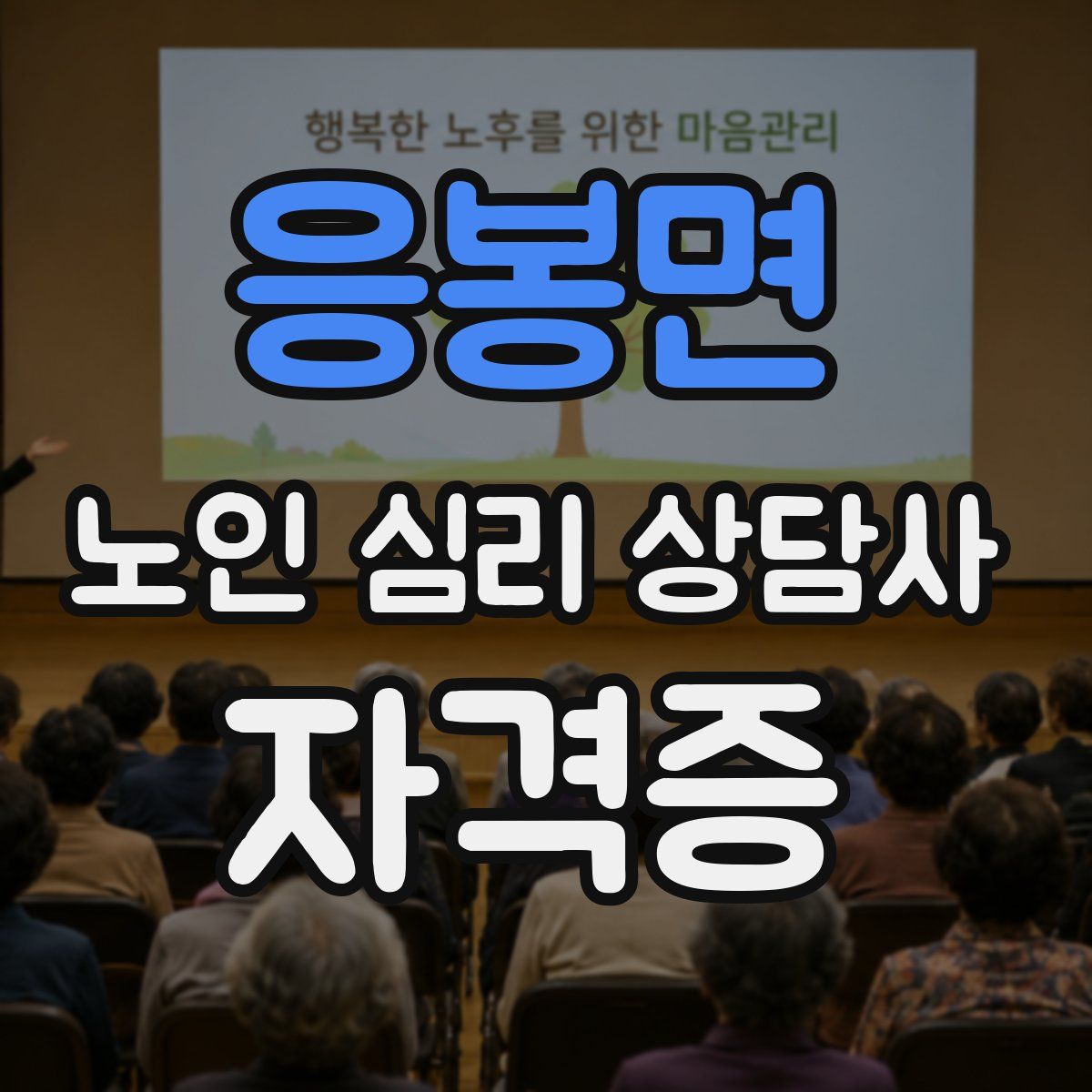 응봉면 노인 심리 상담사 자격증