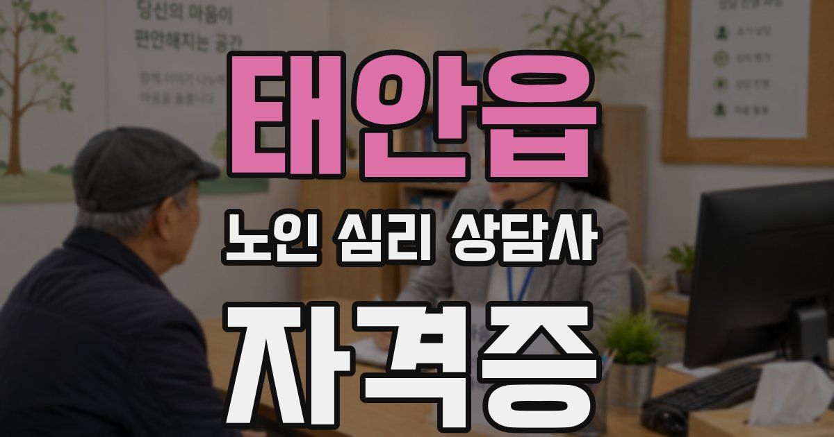 태안읍 노인 심리 상담사 자격증