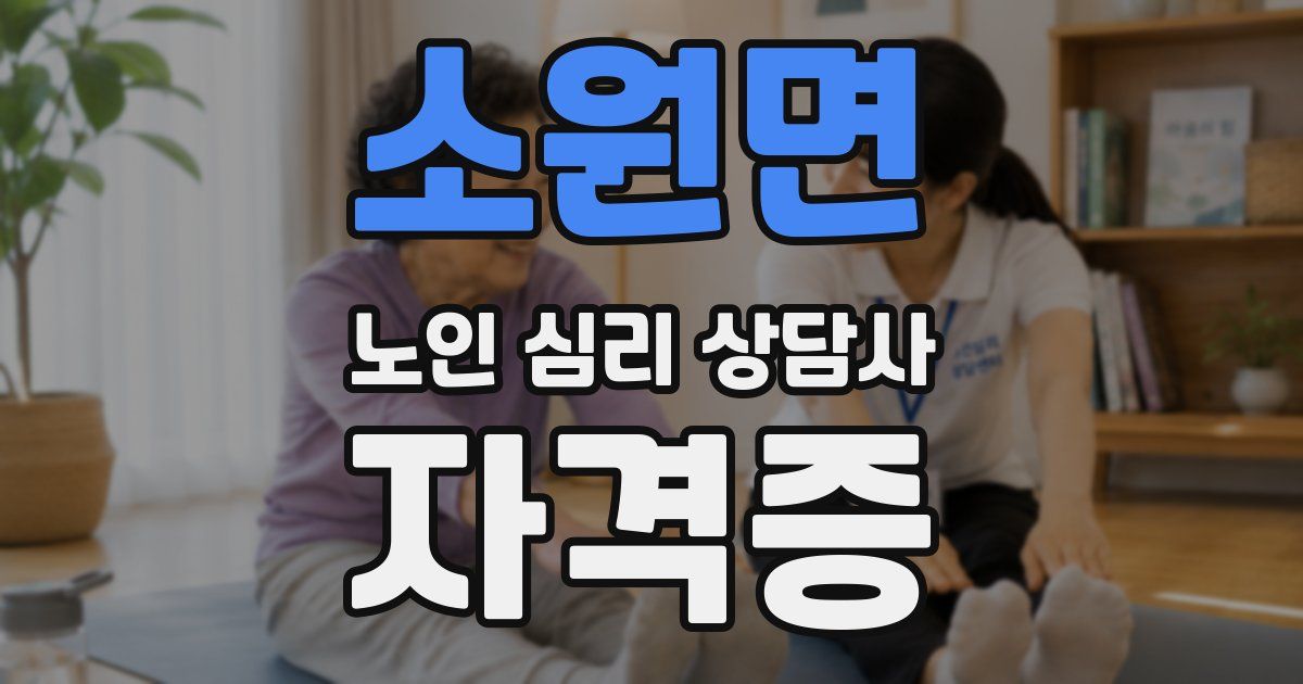 소원면 노인 심리 상담사 자격증