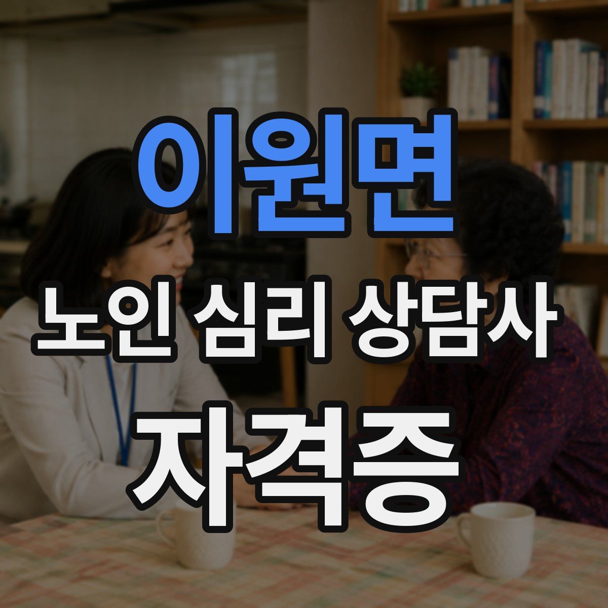 이원면 노인 심리 상담사 자격증