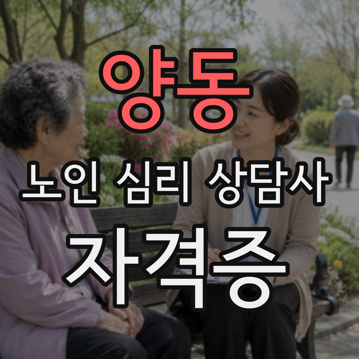 양동 노인 심리 상담사 자격증