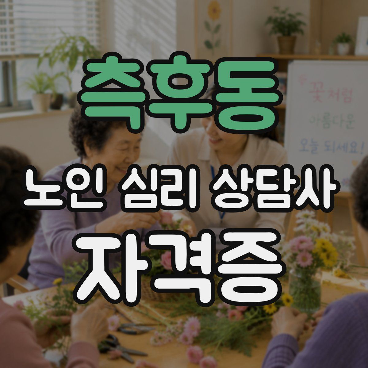 측후동 노인 심리 상담사 자격증
