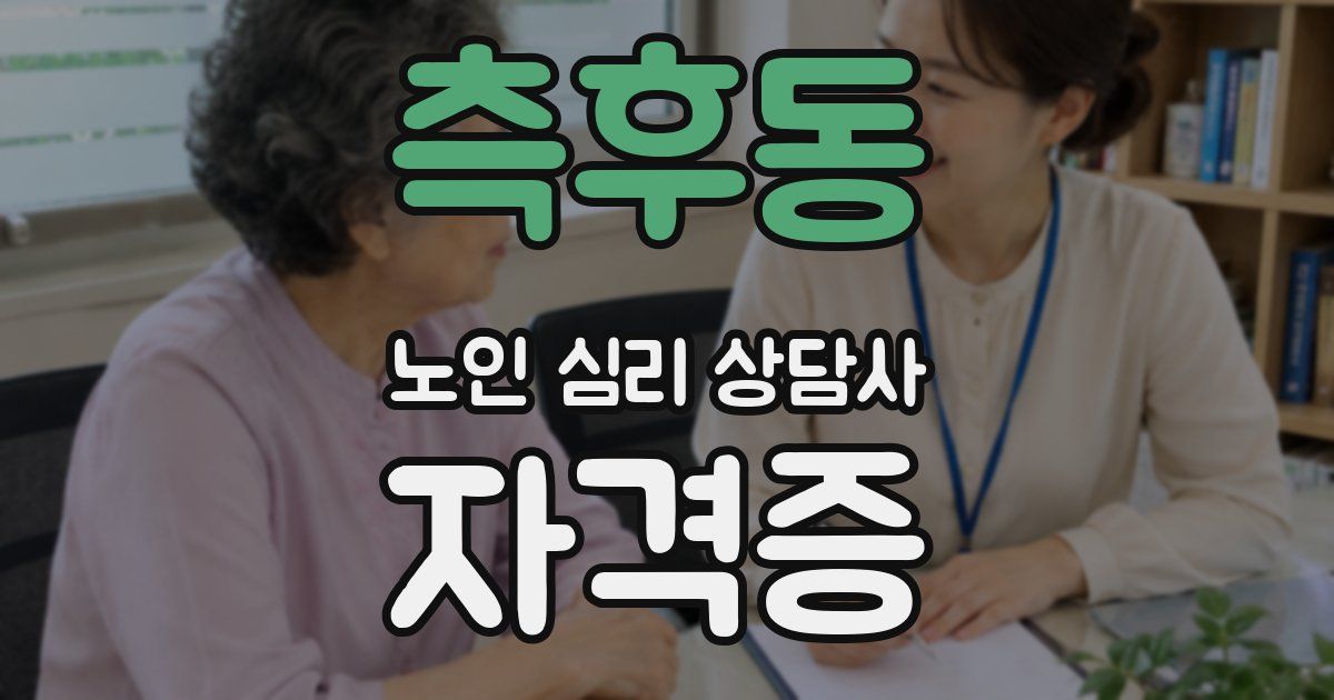 측후동 노인 심리 상담사 자격증