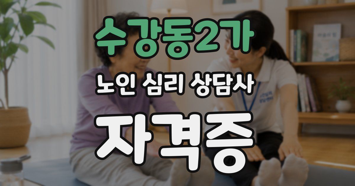 수강동2가 노인 심리 상담사 자격증