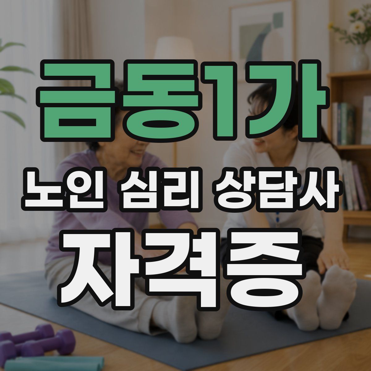 금동1가 노인 심리 상담사 자격증