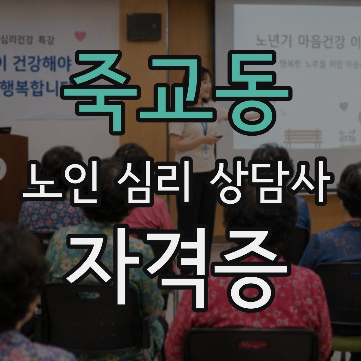 죽교동 노인 심리 상담사 자격증