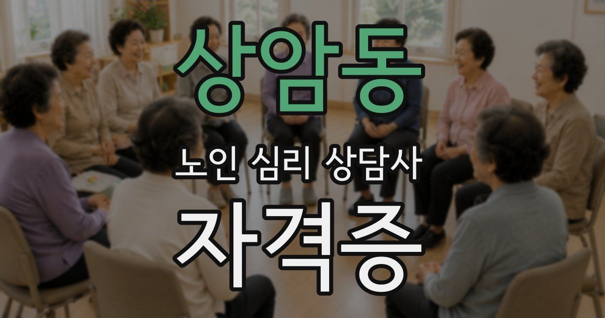 상암동 노인 심리 상담사 자격증