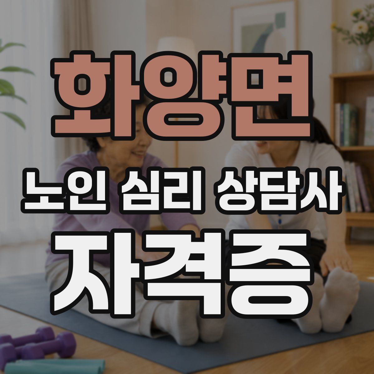화양면 노인 심리 상담사 자격증