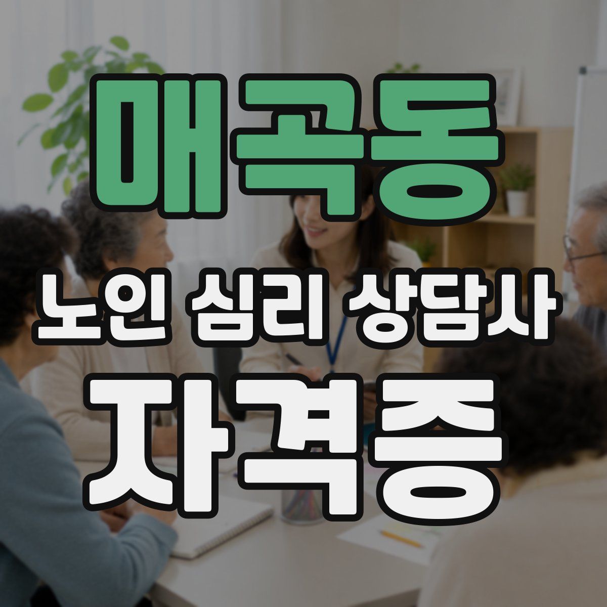 매곡동 노인 심리 상담사 자격증