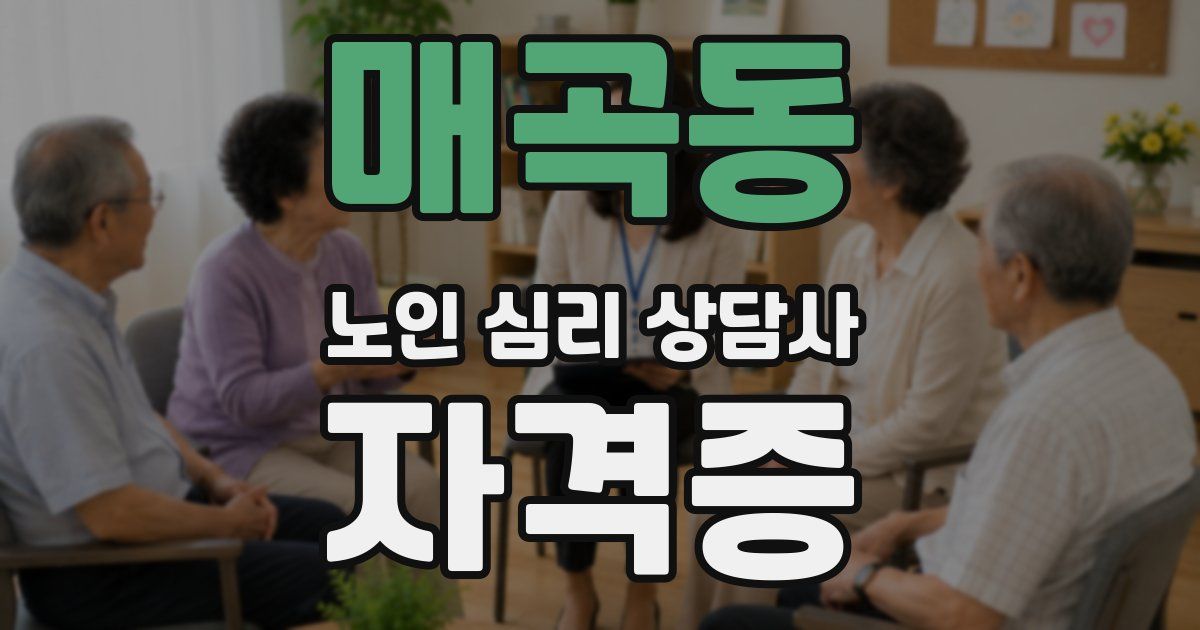 매곡동 노인 심리 상담사 자격증