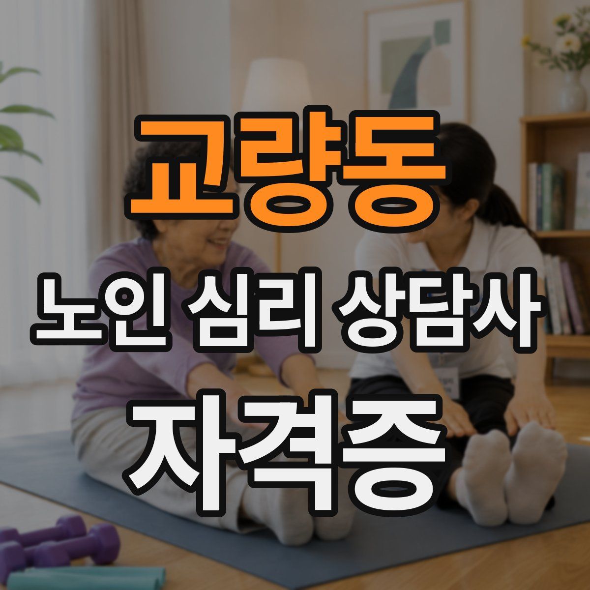 교량동 노인 심리 상담사 자격증